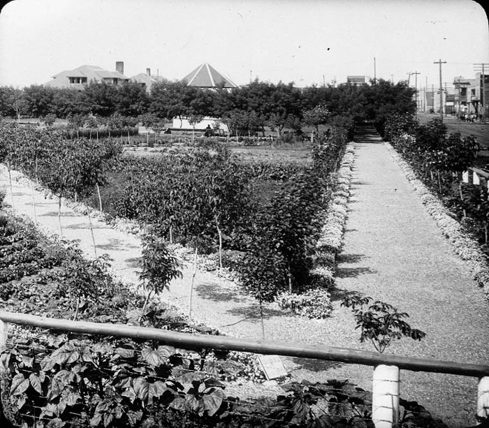 Photo: Library and Archives Canada PA-066539