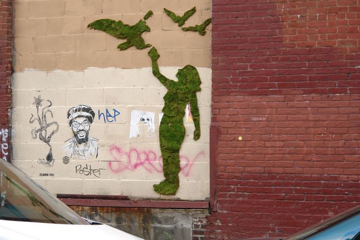 Moss Stencil, Brooklyn, 2008. Photo: Courtesy of Mosstika